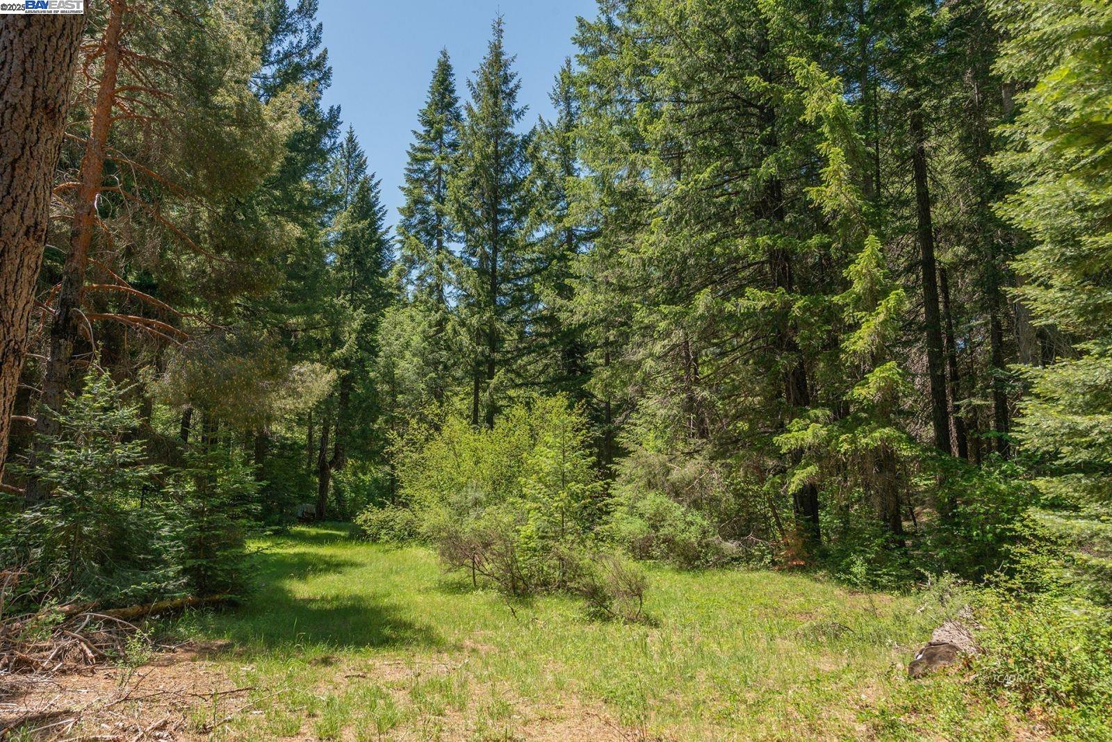 Detail Gallery Image 26 of 50 For 11221 Corral Bottom Rd, Big Bar,  CA 96010 - 1 Beds | 1 Baths