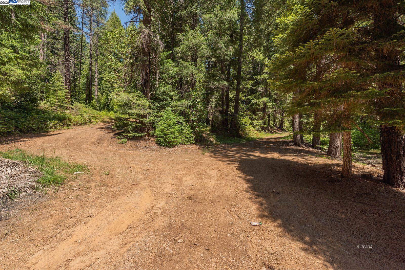 Detail Gallery Image 47 of 50 For 11221 Corral Bottom Rd, Big Bar,  CA 96010 - 1 Beds | 1 Baths