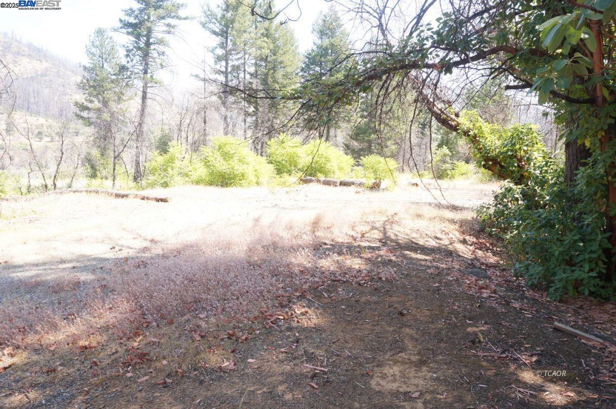 Detail Gallery Image 17 of 19 For 250 Bear Springs, –,  CA 96048 - – Beds | – Baths