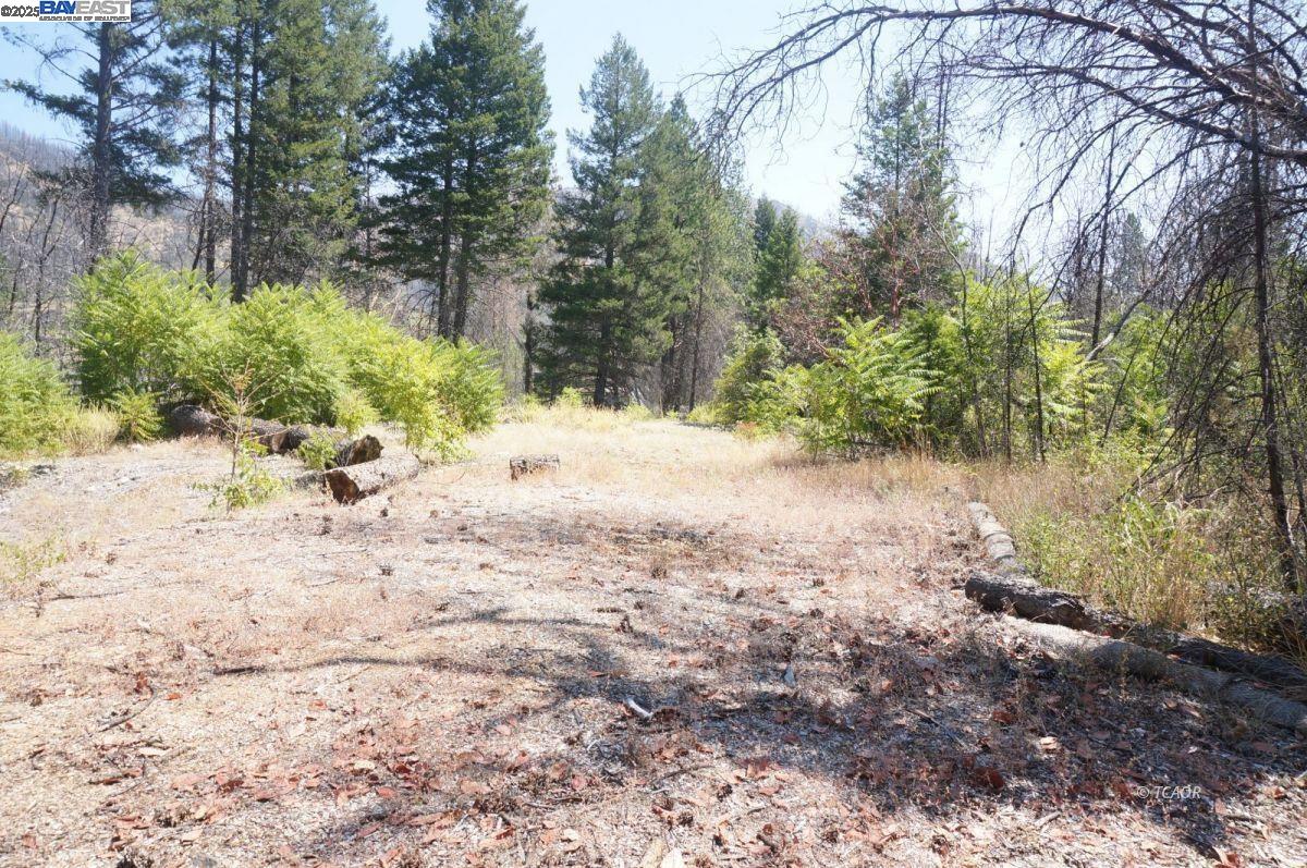 Detail Gallery Image 5 of 19 For 250 Bear Springs, –,  CA 96048 - – Beds | – Baths