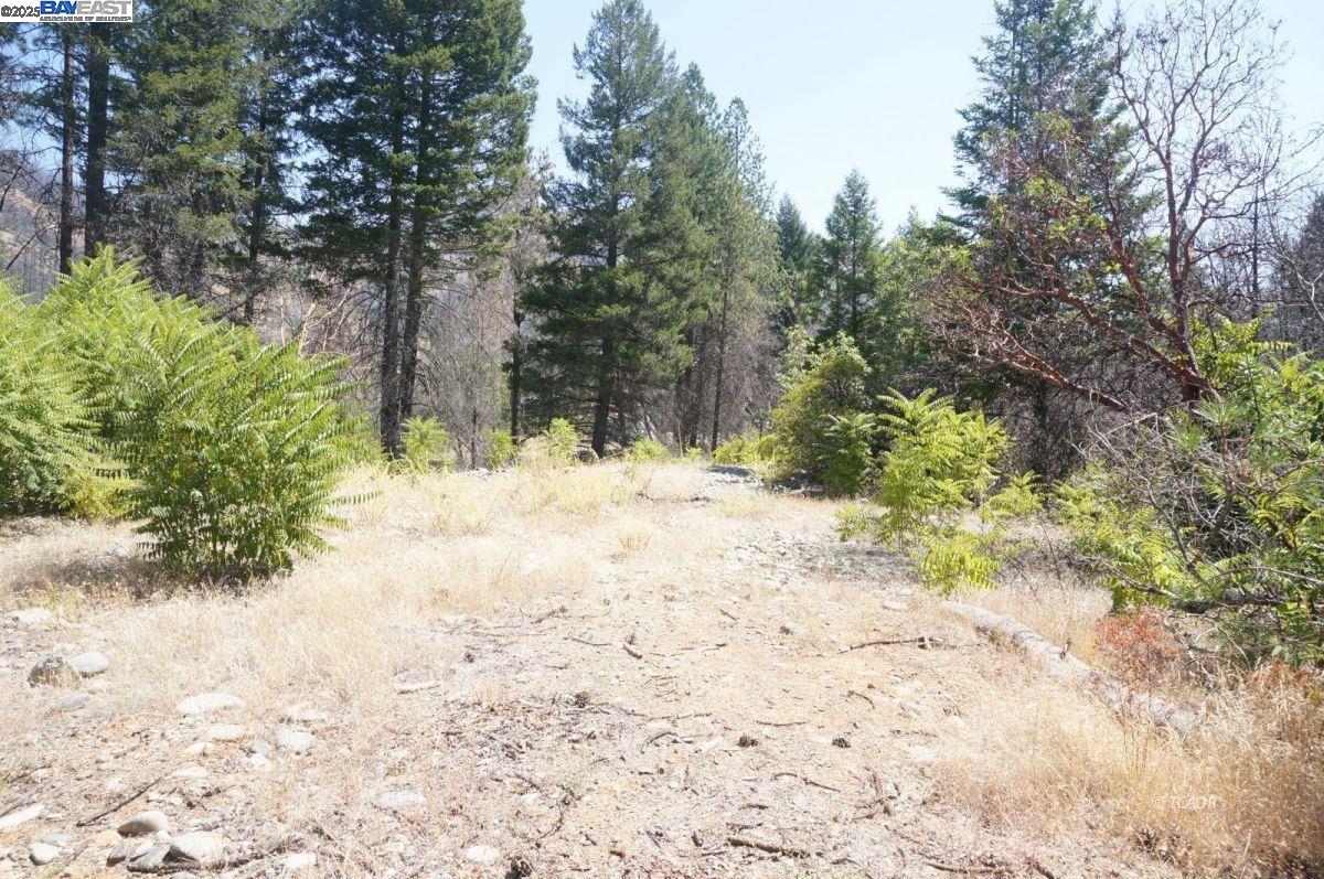Detail Gallery Image 7 of 19 For 250 Bear Springs, –,  CA 96048 - – Beds | – Baths