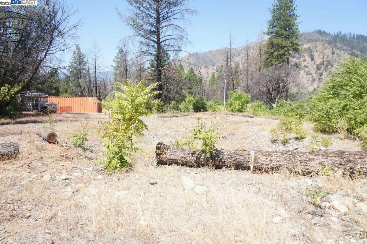 Detail Gallery Image 8 of 19 For 250 Bear Springs, –,  CA 96048 - – Beds | – Baths