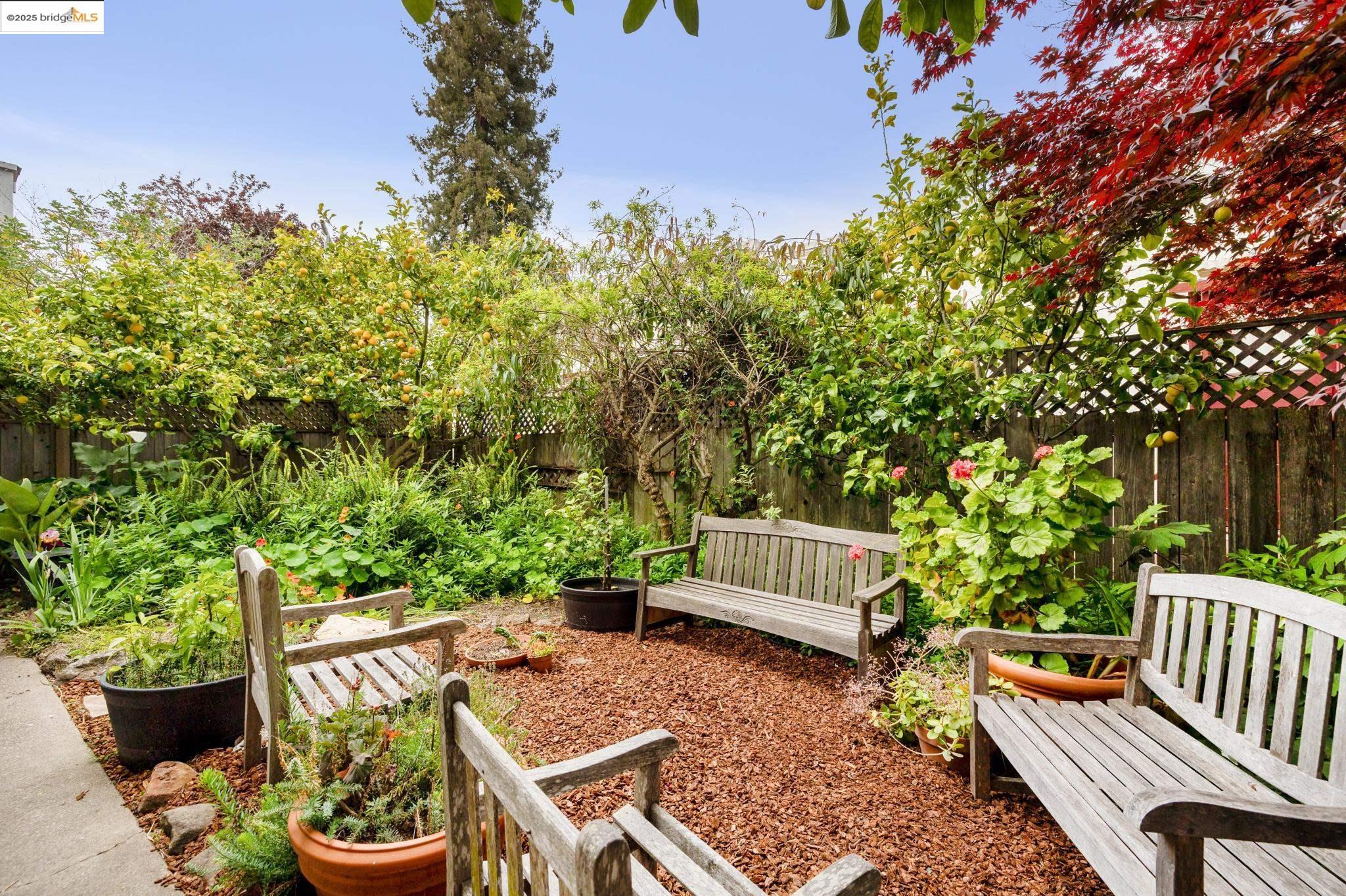 Detail Gallery Image 3 of 58 For 1718 Bancroft Way, Berkeley,  CA 94703 - – Beds | – Baths