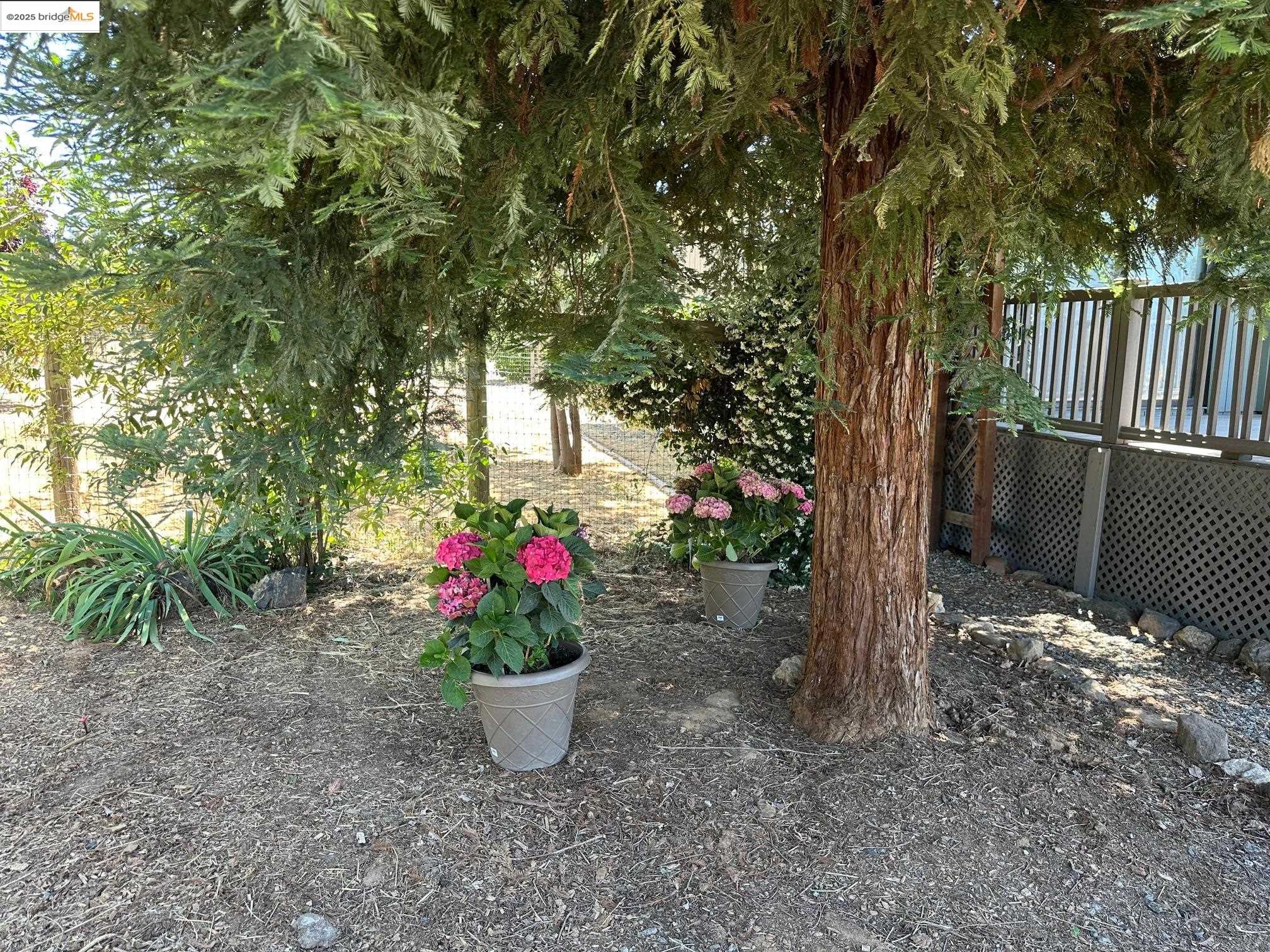 Detail Gallery Image 17 of 52 For 13033 Clements, Groveland,  CA 95321-9516 - 2 Beds | 2 Baths