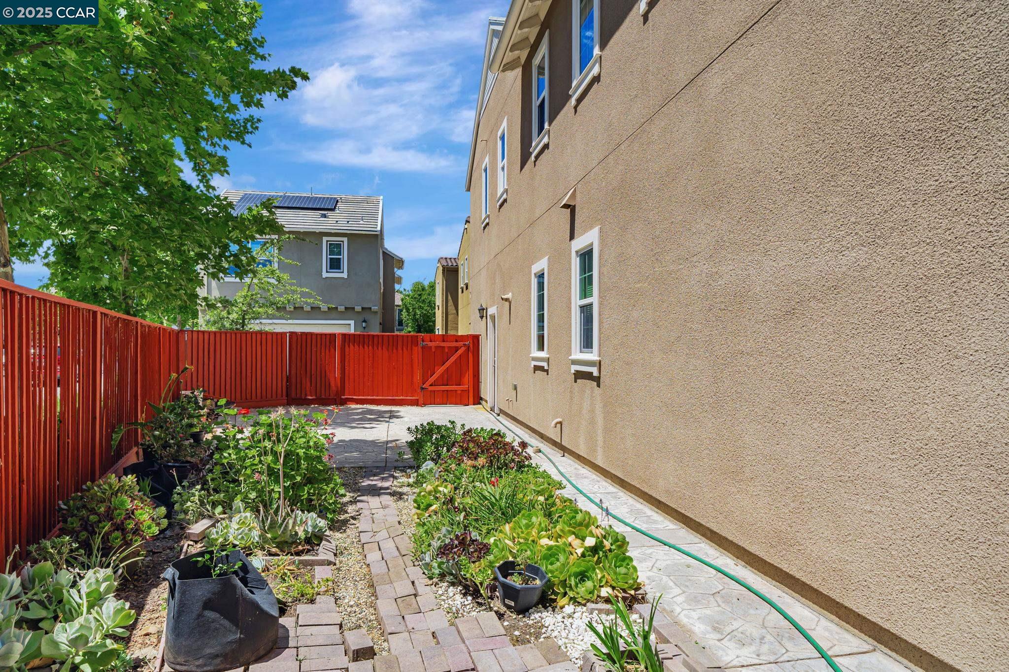 2063 Poinsettia St, San Ramon, California 94582, 4 Bedrooms Bedrooms, 10 Rooms Rooms,3 BathroomsBathrooms,Residential Lease,For Rent,2063 Poinsettia St,41100994