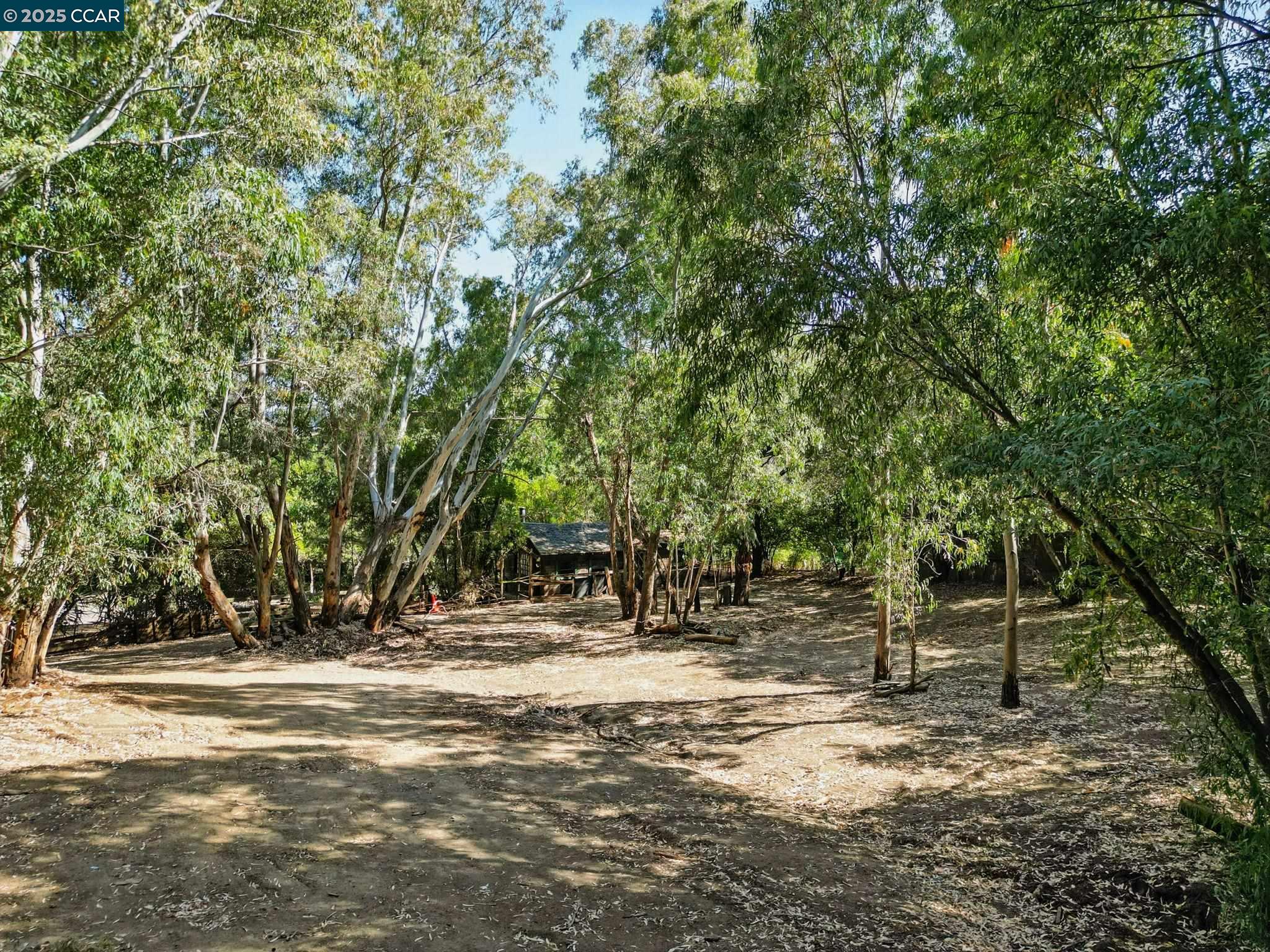Thumbnail for 1491 Boulevard Way, Walnut Creek, CA 94595