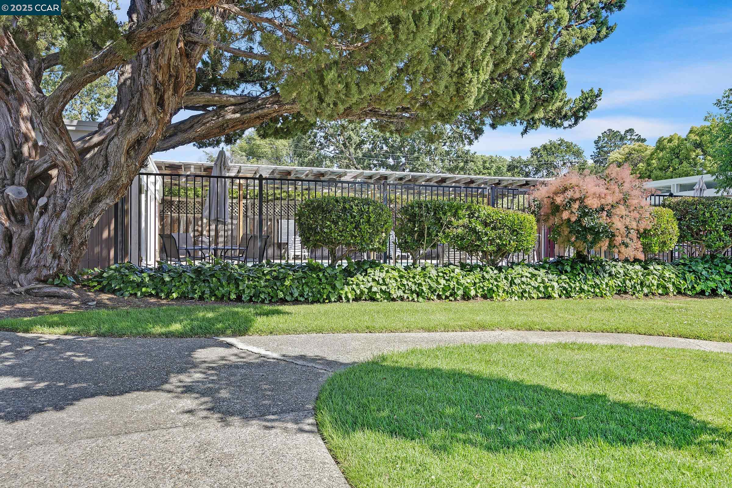 Photo #36: 41101007 Listing: Photo #36
