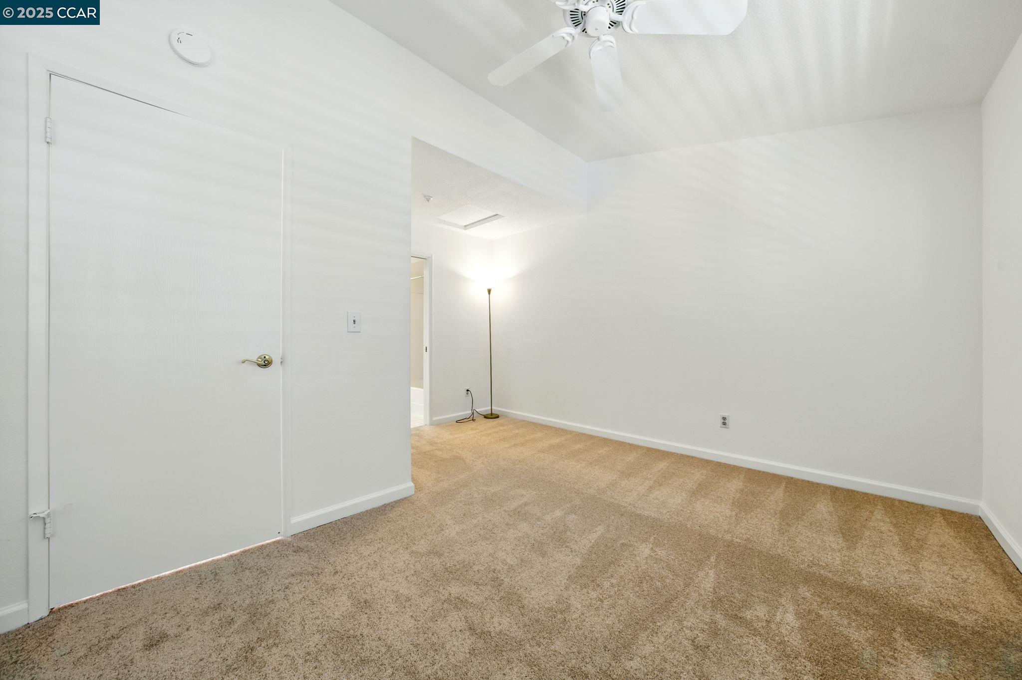 Photo #19: 41101169 Listing: Photo #19