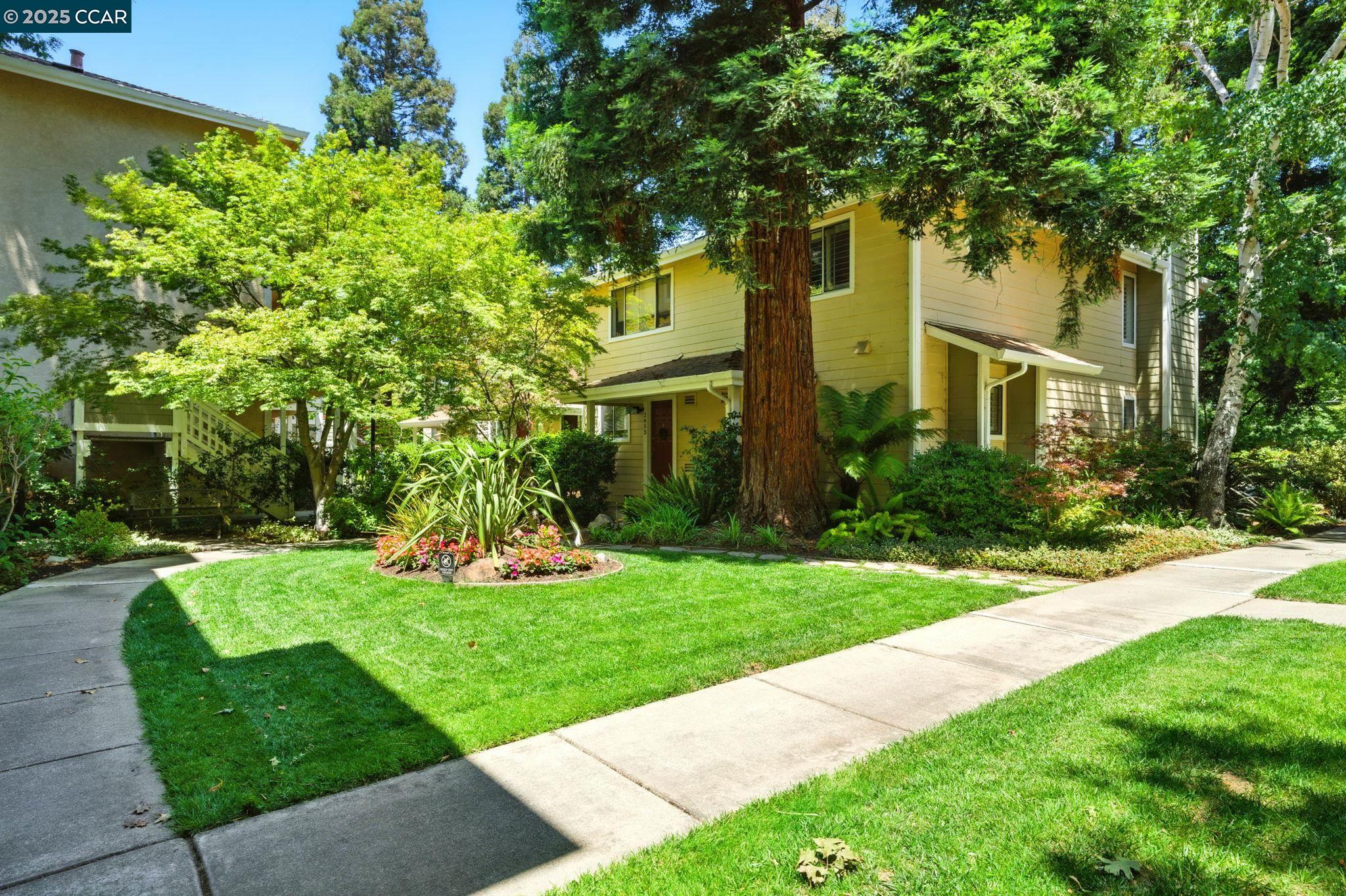 Photo #33: 41101169 Listing: Photo #33