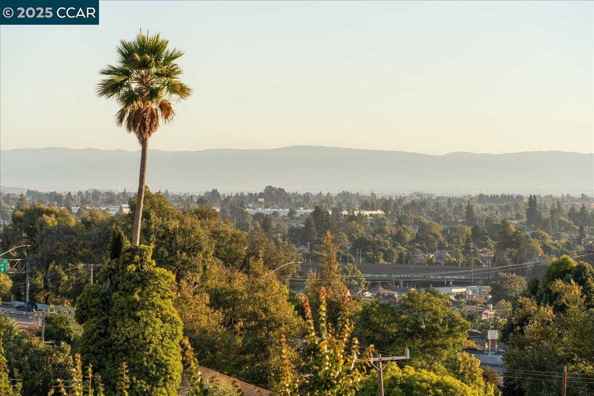 Detail Gallery Image 59 of 59 For 16543 Hannah Dr, San Leandro,  CA 94578 - 4 Beds | 2 Baths