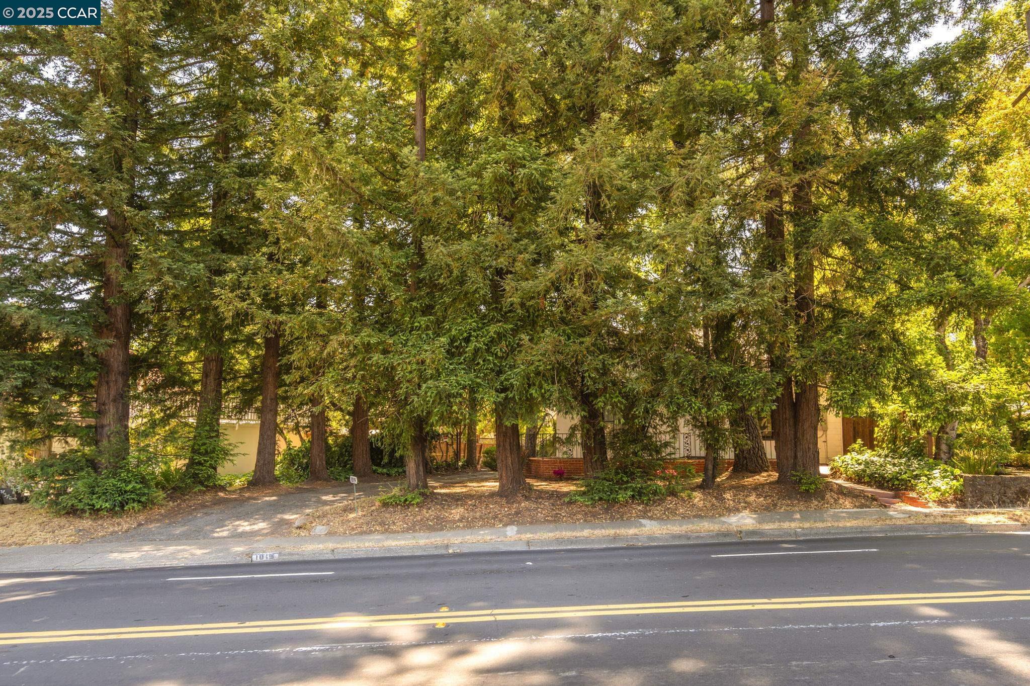 Detail Gallery Image 29 of 29 For 1019 Sir Francis Drake Blvd, San Anselmo,  CA 94960 - 2 Beds | 1/1 Baths