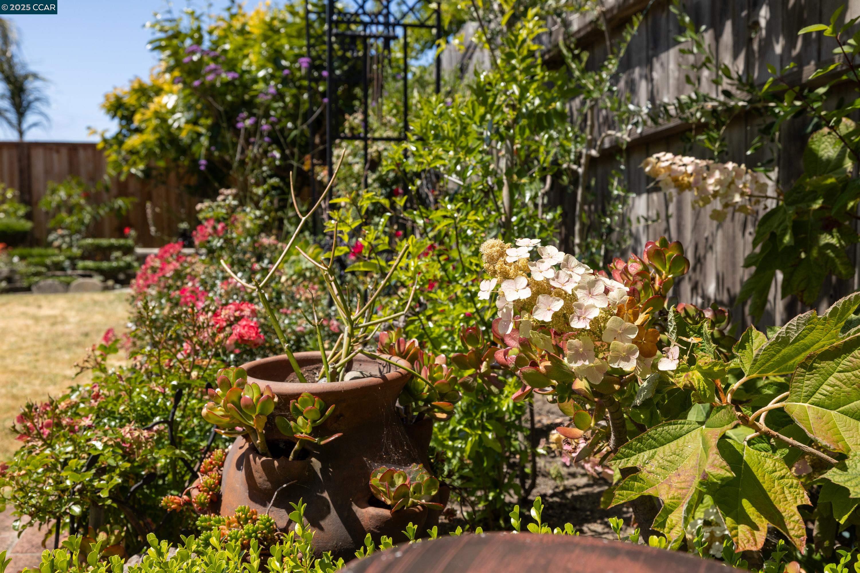 Detail Gallery Image 24 of 34 For 925 Tara Hills Dr, Pinole,  CA 94564 - 3 Beds | 2 Baths