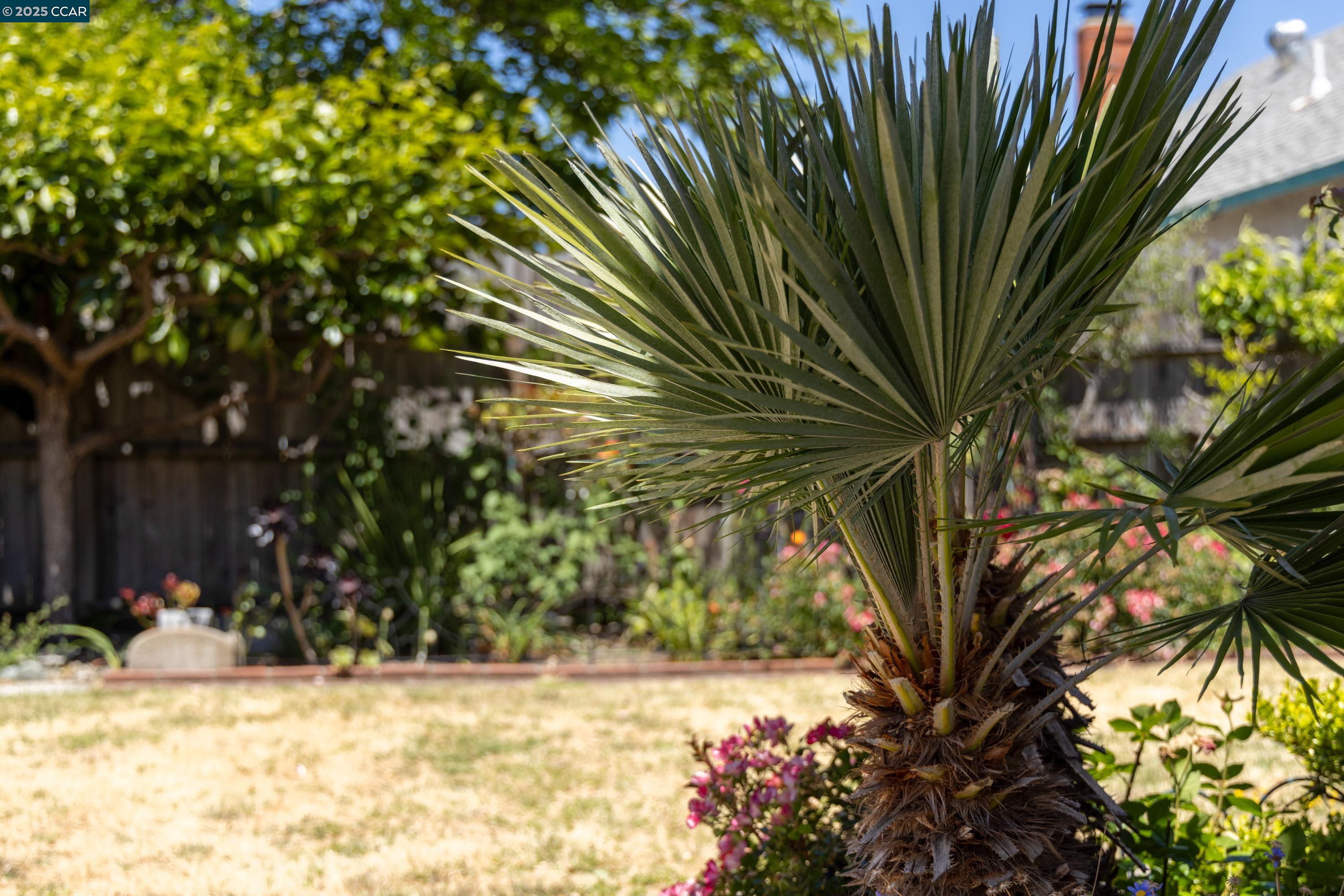Detail Gallery Image 30 of 34 For 925 Tara Hills Dr, Pinole,  CA 94564 - 3 Beds | 2 Baths
