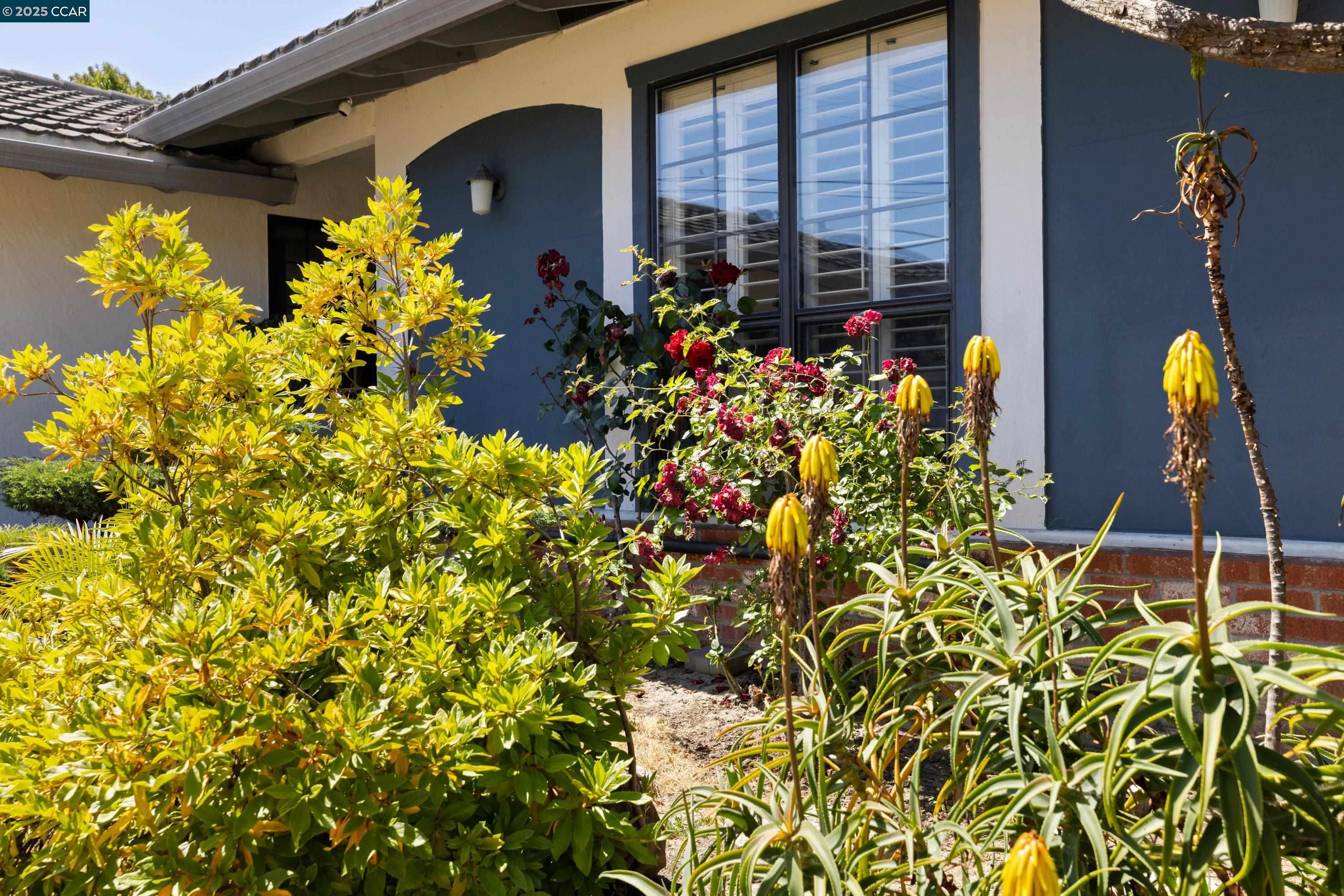 Detail Gallery Image 32 of 34 For 925 Tara Hills Dr, Pinole,  CA 94564 - 3 Beds | 2 Baths