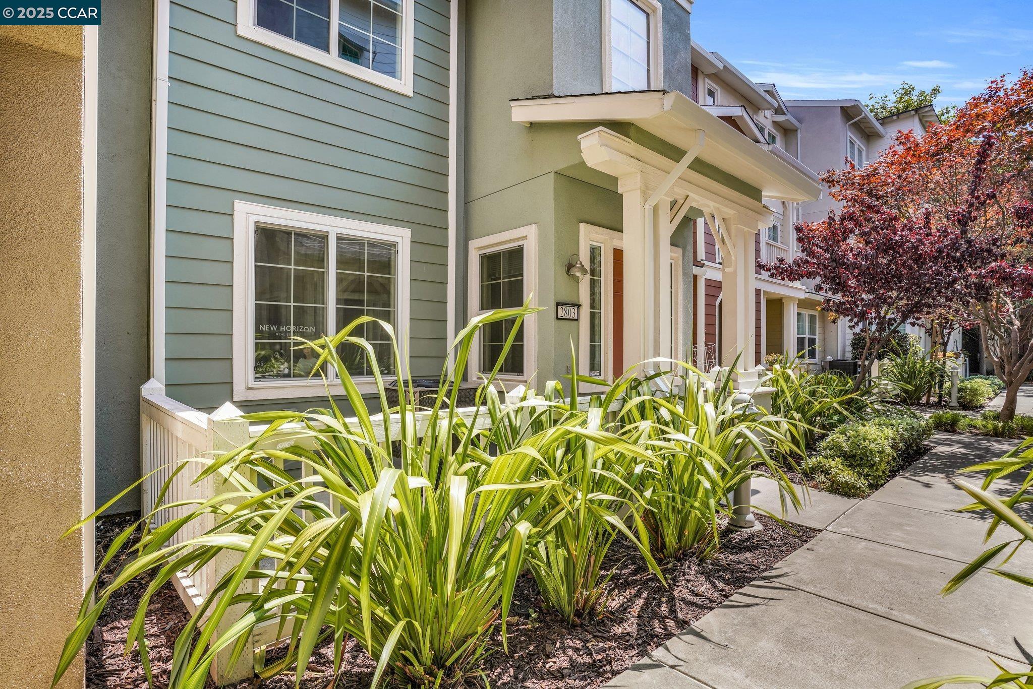 Photo #5: 41101419 Listing: Photo #5