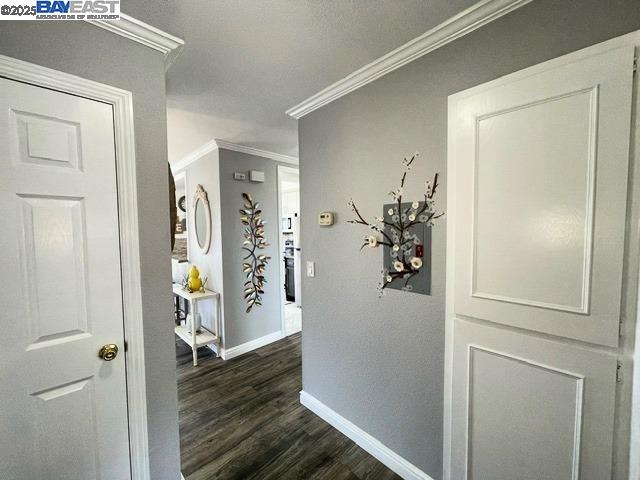 Photo #2: 41101470 Listing 