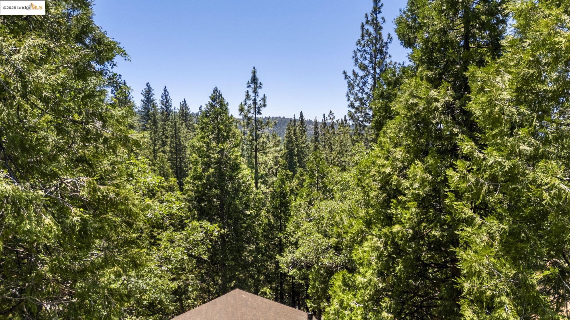 Detail Gallery Image 38 of 41 For 25489 Bambi Ln, Cold Springs,  CA 95335 - 2 Beds | 2/1 Baths