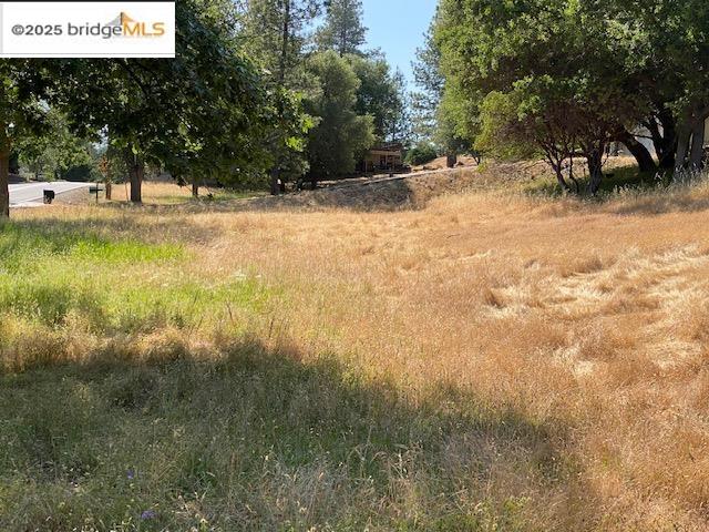 1-244 Pleasant View Dr, Groveland, California 95321, ,Land,For Sale,1-244 Pleasant View Dr,41101521