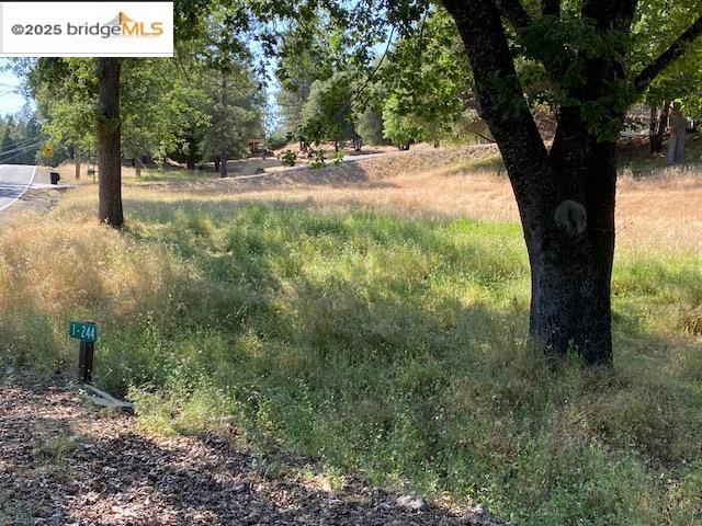 1-244 Pleasant View Dr, Groveland, California 95321, ,Land,For Sale,1-244 Pleasant View Dr,41101521