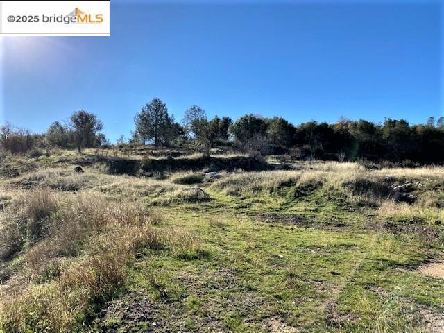 17290 Anderson St & Hwy 120, Big Oak Flat, California 95305, ,Land,For Sale,17290 Anderson St & Hwy 120,41101526