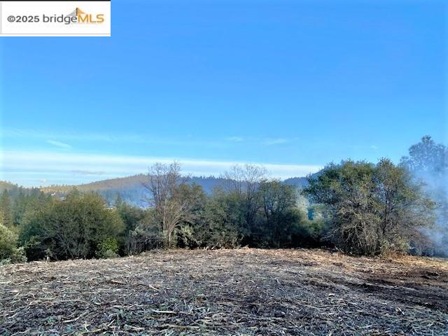 17290 Anderson St & Hwy 120, Big Oak Flat, California 95305, ,Land,For Sale,17290 Anderson St & Hwy 120,41101526