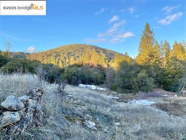 17290 Anderson St & Hwy 120, Big Oak Flat, California 95305, ,Land,For Sale,17290 Anderson St & Hwy 120,41101526