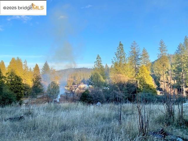 17290 Anderson St & Hwy 120, Big Oak Flat, California 95305, ,Land,For Sale,17290 Anderson St & Hwy 120,41101526