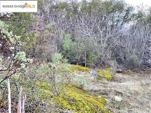 17290 Anderson St & Hwy 120, Big Oak Flat, California 95305, ,Land,For Sale,17290 Anderson St & Hwy 120,41101526