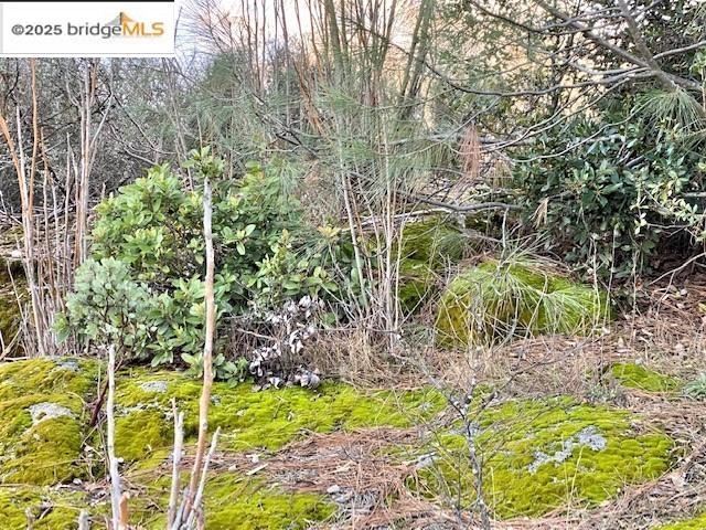 17290 Anderson St & Hwy 120, Big Oak Flat, California 95305, ,Land,For Sale,17290 Anderson St & Hwy 120,41101526