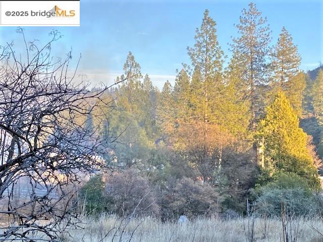 17290 Anderson St & Hwy 120, Big Oak Flat, California 95305, ,Land,For Sale,17290 Anderson St & Hwy 120,41101526