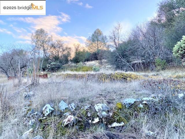 17290 Anderson St & Hwy 120, Big Oak Flat, California 95305, ,Land,For Sale,17290 Anderson St & Hwy 120,41101526