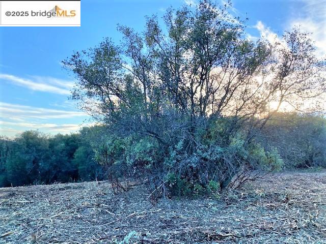 17290 Anderson St & Hwy 120, Big Oak Flat, California 95305, ,Land,For Sale,17290 Anderson St & Hwy 120,41101526
