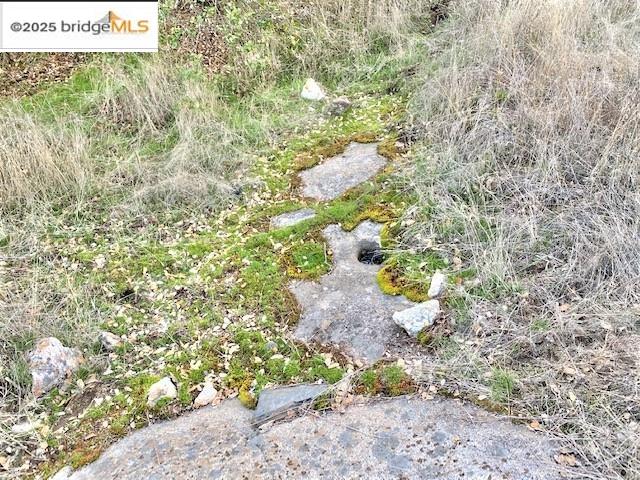 17290 Anderson St & Hwy 120, Big Oak Flat, California 95305, ,Land,For Sale,17290 Anderson St & Hwy 120,41101526