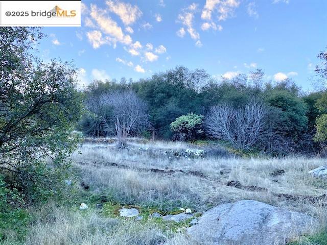 17290 Anderson St & Hwy 120, Big Oak Flat, California 95305, ,Land,For Sale,17290 Anderson St & Hwy 120,41101526