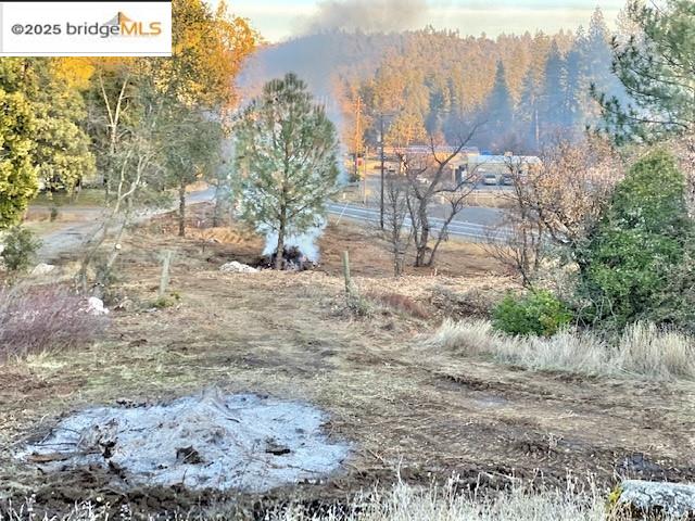 17290 Anderson St & Hwy 120, Big Oak Flat, California 95305, ,Land,For Sale,17290 Anderson St & Hwy 120,41101526