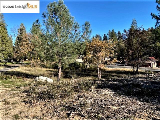 17290 Anderson St & Hwy 120, Big Oak Flat, California 95305, ,Land,For Sale,17290 Anderson St & Hwy 120,41101526