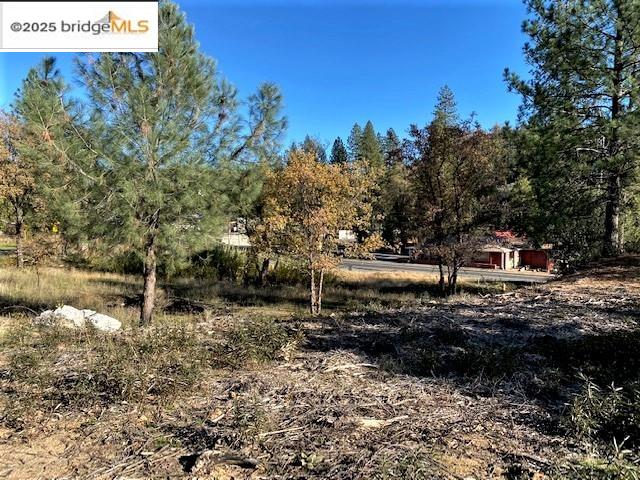 17290 Anderson St & Hwy 120, Big Oak Flat, California 95305, ,Land,For Sale,17290 Anderson St & Hwy 120,41101526