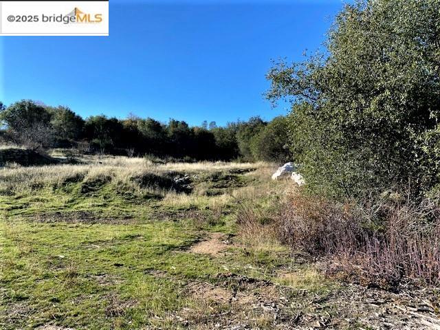 17290 Anderson St & Hwy 120, Big Oak Flat, California 95305, ,Land,For Sale,17290 Anderson St & Hwy 120,41101526