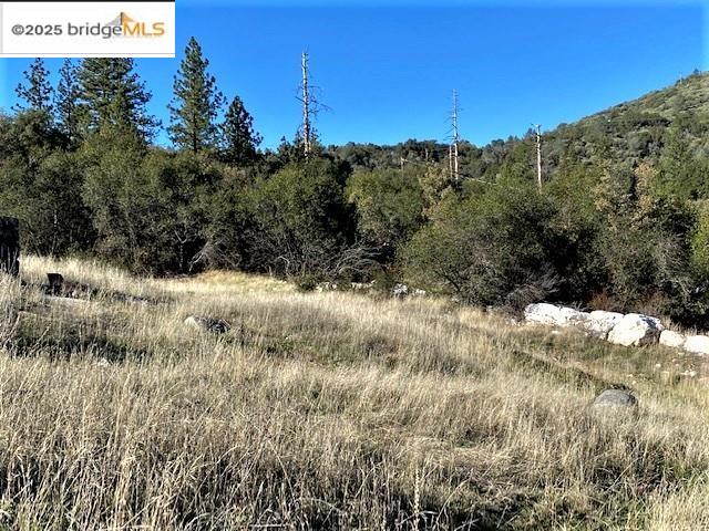 17290 Anderson St & Hwy 120, Big Oak Flat, California 95305, ,Land,For Sale,17290 Anderson St & Hwy 120,41101526