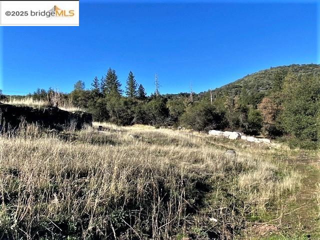 17290 Anderson St & Hwy 120, Big Oak Flat, California 95305, ,Land,For Sale,17290 Anderson St & Hwy 120,41101526