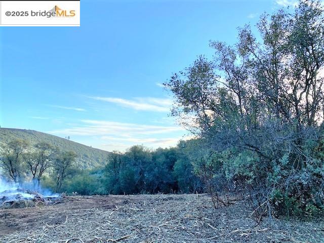 17290 Anderson St & Hwy 120, Big Oak Flat, California 95305, ,Land,For Sale,17290 Anderson St & Hwy 120,41101526