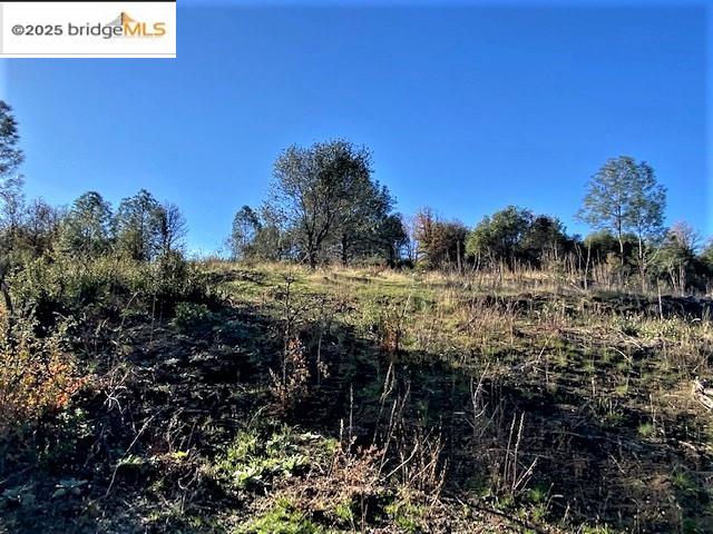 17290 Anderson St & Hwy 120, Big Oak Flat, California 95305, ,Land,For Sale,17290 Anderson St & Hwy 120,41101526