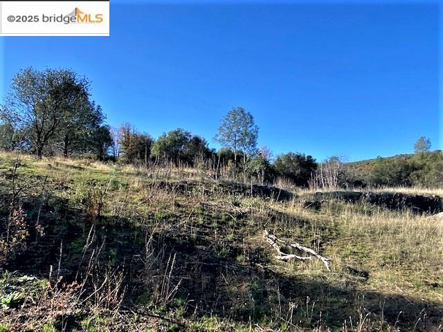 17290 Anderson St & Hwy 120, Big Oak Flat, California 95305, ,Land,For Sale,17290 Anderson St & Hwy 120,41101526