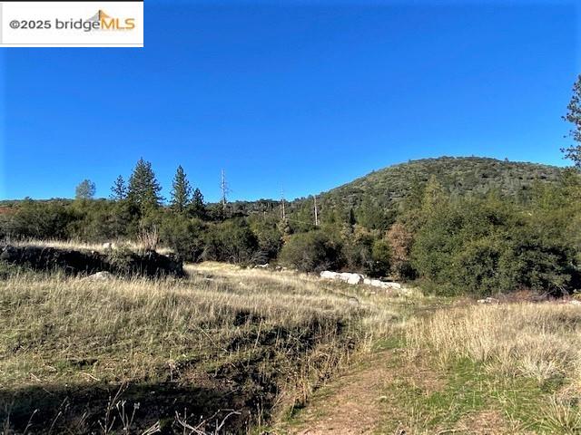 17290 Anderson St & Hwy 120, Big Oak Flat, California 95305, ,Land,For Sale,17290 Anderson St & Hwy 120,41101526