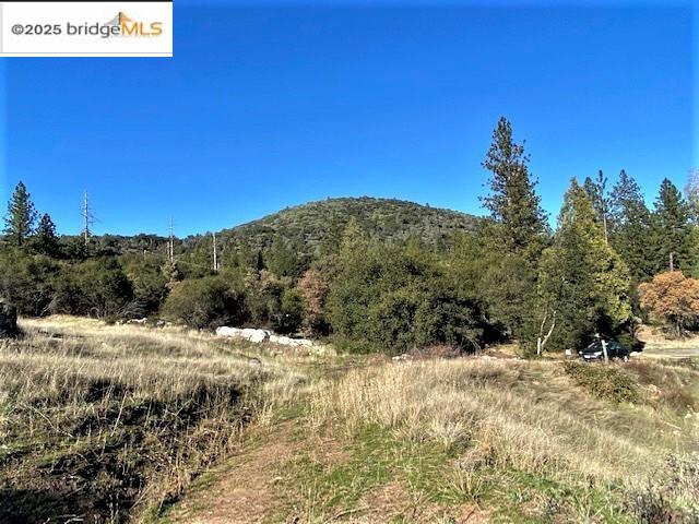 17290 Anderson St & Hwy 120, Big Oak Flat, California 95305, ,Land,For Sale,17290 Anderson St & Hwy 120,41101526