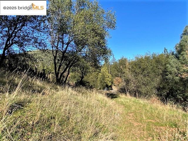 17290 Anderson St & Hwy 120, Big Oak Flat, California 95305, ,Land,For Sale,17290 Anderson St & Hwy 120,41101526