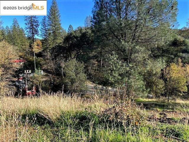 17290 Anderson St & Hwy 120, Big Oak Flat, California 95305, ,Land,For Sale,17290 Anderson St & Hwy 120,41101526