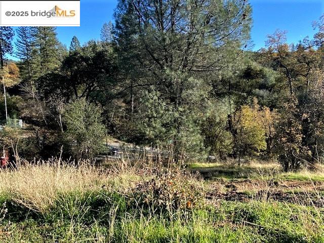 17290 Anderson St & Hwy 120, Big Oak Flat, California 95305, ,Land,For Sale,17290 Anderson St & Hwy 120,41101526