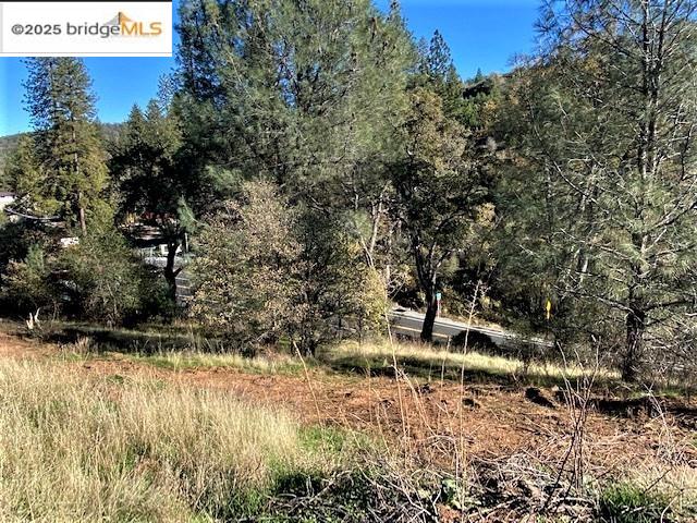 17290 Anderson St & Hwy 120, Big Oak Flat, California 95305, ,Land,For Sale,17290 Anderson St & Hwy 120,41101526