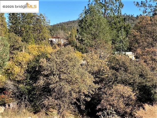 17290 Anderson St & Hwy 120, Big Oak Flat, California 95305, ,Land,For Sale,17290 Anderson St & Hwy 120,41101526